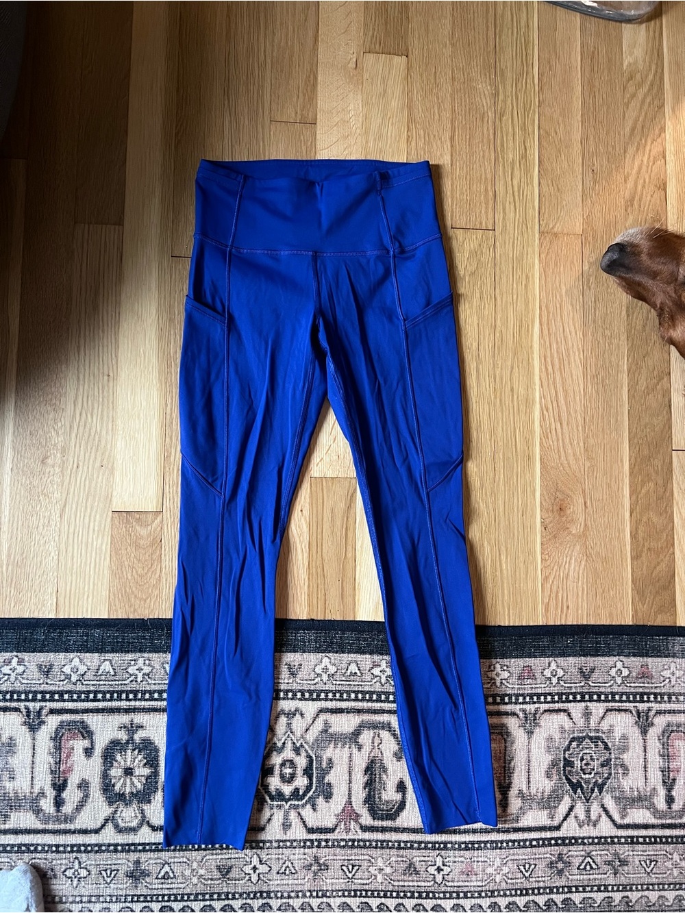High-Waist Royal Blue Lulu Leggings